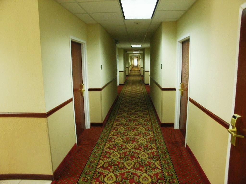 Quality Inn Zephyrhills-Dade City Eksteriør bilde